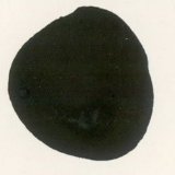 Black Ready Mix Poster Paint 600ml Bottle