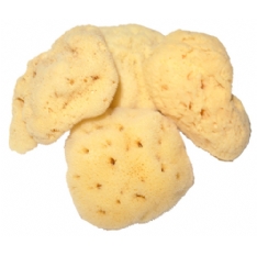 Beaming Baby Natural Baby Sea Sponge