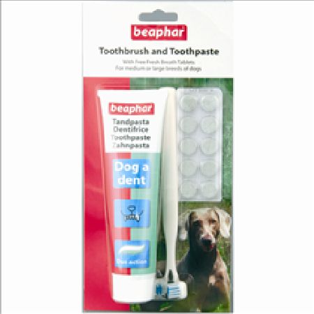 Large Pet Dental Kit for Dogs by Beaphar