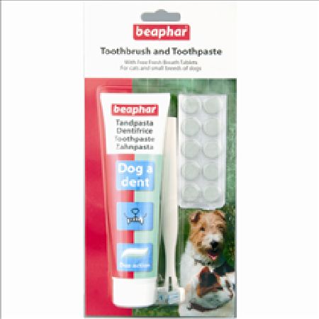 Beaphar Small Pet Dental Kit for Cats and Small Dogs by Beaphar