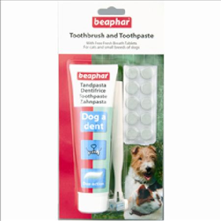 Small Pet Dental Kit for Cats and Small Dogs by Beaphar