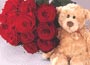 Bear and Dozen roses