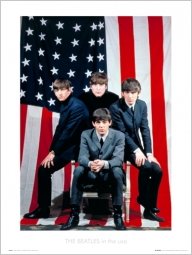 BEATLES In The USA Art Print