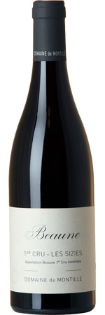 Beaune 1er Cru Les Sizies 2010, Domaine de