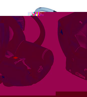 Creatis Fix Car Seat