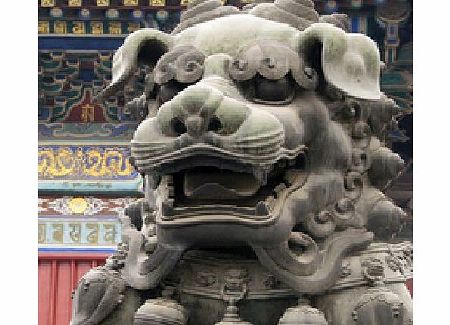 Beijing Alter, Lama Temple and Panda Garden - Adult