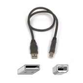 Belkin Pro Series Hi-Speed USB 2.0 Device Cable 0.5m