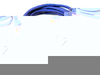 Belkin Cat5e FastCAT UTP Patch Cable (Blue) 5m