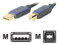 belkin Pure AV Blue Series Home Theater USB Cable - data cable - Hi-Speed USB - 1.8 m