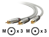 belkin Pure AV Silver Series - video cable - component video - 1.2 m