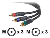 belkin Pure AV video cable - component video - 91.4 cm
