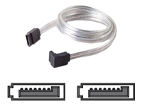 belkin Serial ATA cable - 61 cm