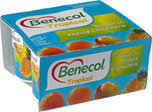 Benecol Low Fat Tropical Bio Yogurt (4x125g)
