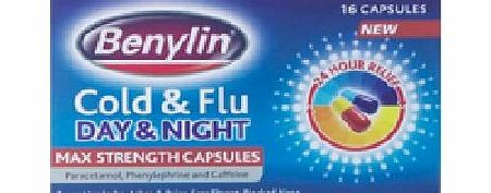 Cold and Flu Day and Night Max Strength Capsules