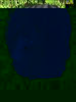 Berghaus Tiso Peak 15 Rucksack - Navy