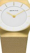 Silver Gold Mesh Watch