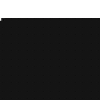 Beslim Chitosan Weight Loss Capsules