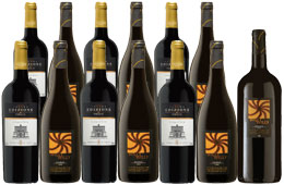 Best of Both Showcase - Mixed case