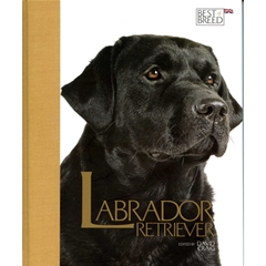 Best Of Breed Labrador Retriever (Book)