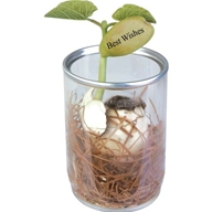 Best Wishes Magic Message Egg