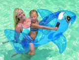 Inflatable Large 63` Whale Rider Great Water Fun!