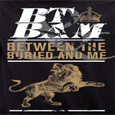 Between The Buried And Me Lions And Kings