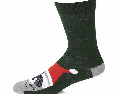 Bhs 1 Pack Christmas Racoon Sock, Green BR61N12FGRN
