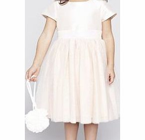 Bhs Alexa Blush Bridesmaid Dress, blushed pink