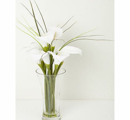 Bhs Calla Lily in clear glass vase, white 30919620306