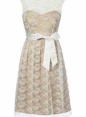 Bhs Chloe Champagne Lace Bridesmaid Dress, champagne