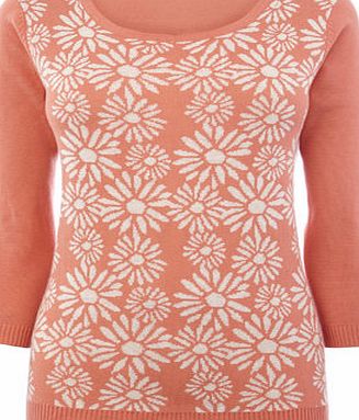 Bhs Coral/White Daisy Jumper, coral/white 588000455