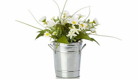 Bhs Ditsy daisies in tin pot, white 30922690306