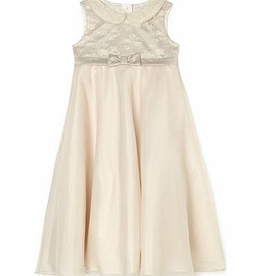 Bhs Frida Champagne Lace Bridesmaid Dress, champagne