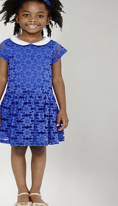 Bhs Girls Cobalt Lace Collar Dress, cobalt 19400196634