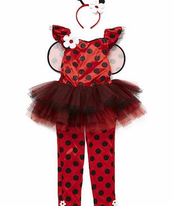 Bhs Girls Ladybird Fancy Dress Outfit, red 8884713874