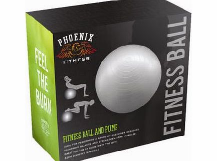 Bhs Grey Phoenix Fitness Fitness Ball With Pump,