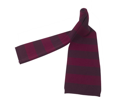bhs Harefield academy scarf