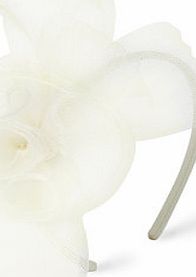 Bhs Ivory Crin Rose Headband Fascinator, ivory