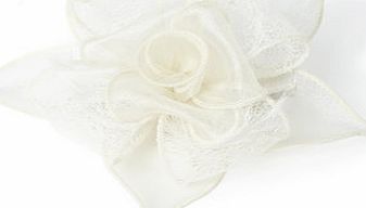 Bhs Ivory Lace Rose Clip Fascinator, ivory 6610780904