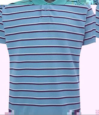 Bhs Jade Green Stripe Polo Shirt, JADE BR52P40GGRN