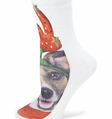 Bhs Multi Printed Xmas Dog Socks, white 3009210306