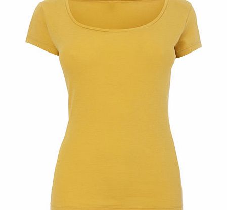 Mustard Short Sleeve Scoop Neck, Mustard