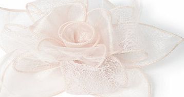 Bhs Pale Pink Lace Rose Clip Fascinator, pale pink
