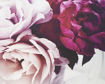 Bhs Pink large scale photographic floral canvas