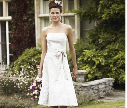 bhs Portia champagne jacquard dress