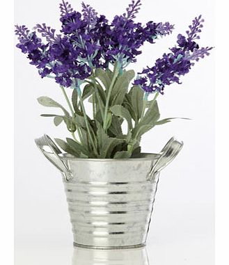 Bhs Purple lavender in tin pot, purple 30910110924