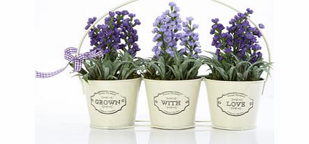 Bhs Trio of lavender in metal pot, lilac 30914091499