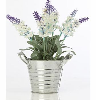 Bhs White lavender in tin pot, white 30910110306
