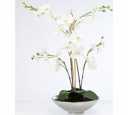 Bhs White statement orchid, white 30917120306