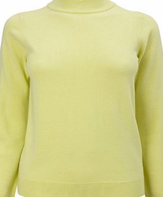 Bhs Womens Lime Supersoft Turtle Neck Jumper, lime